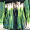 Leeks