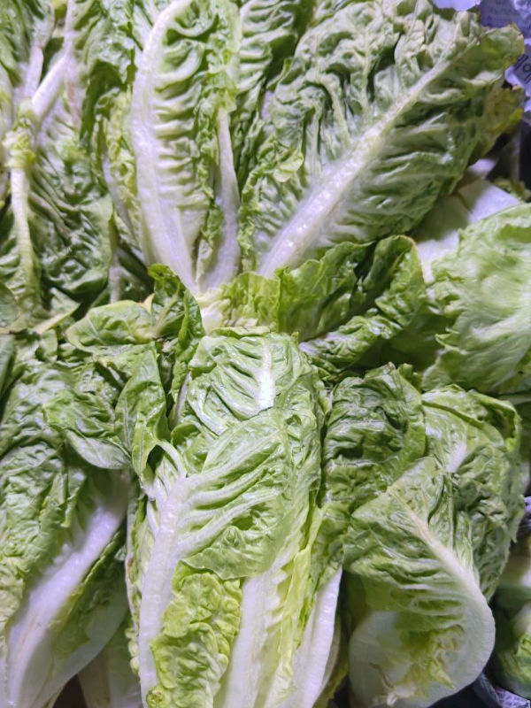 Lettuce