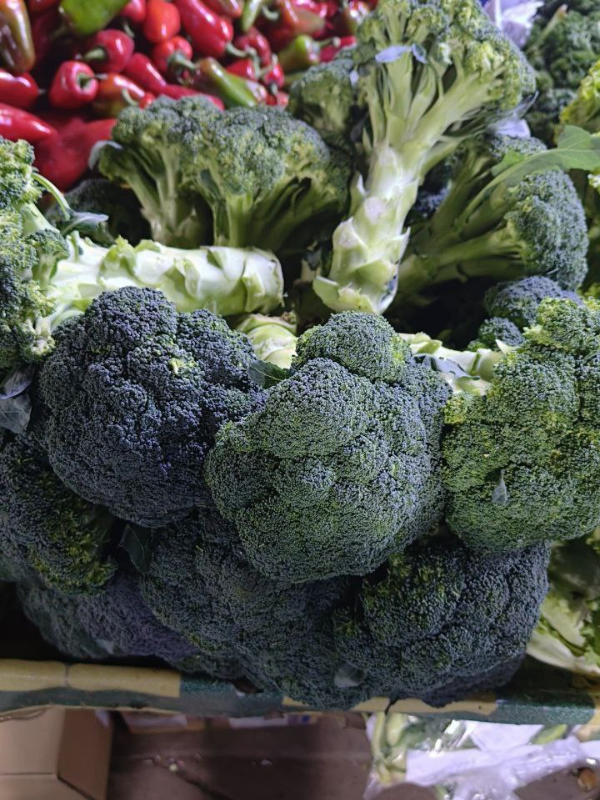 Broccoli