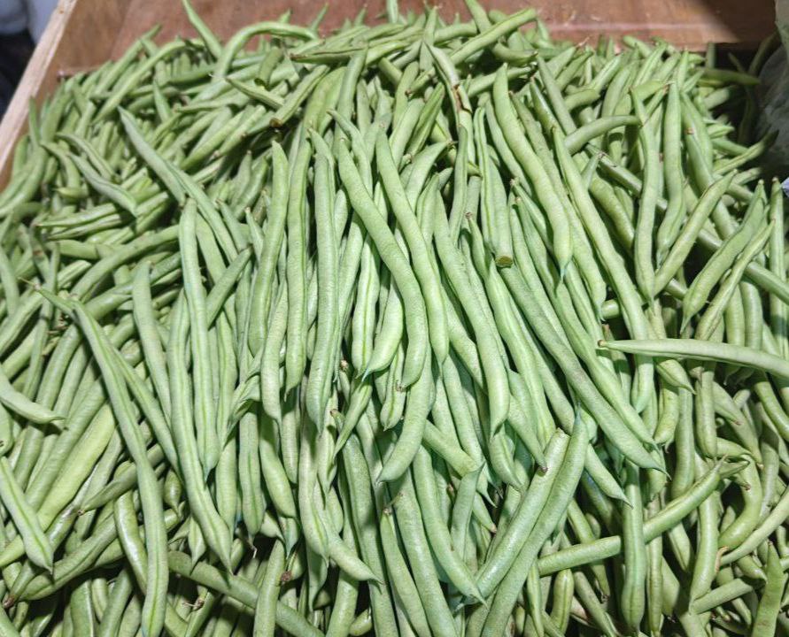 Beans