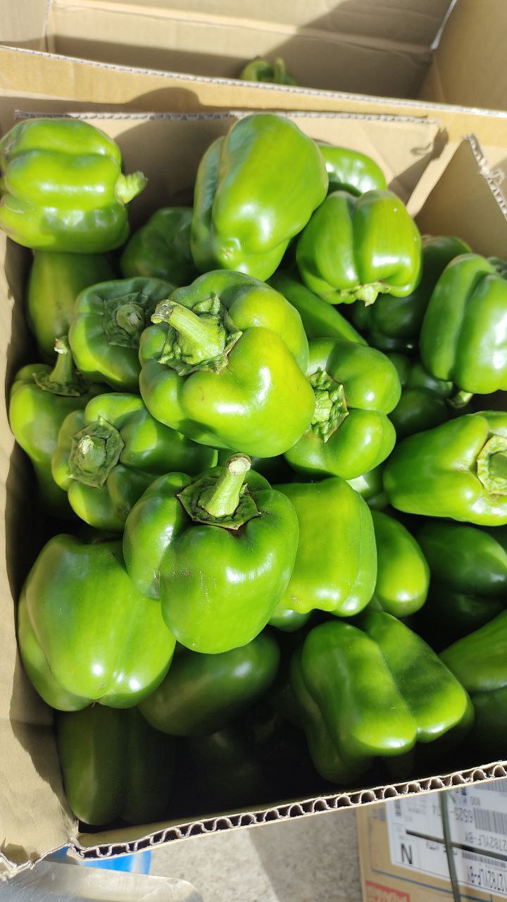 Bell Pepper
