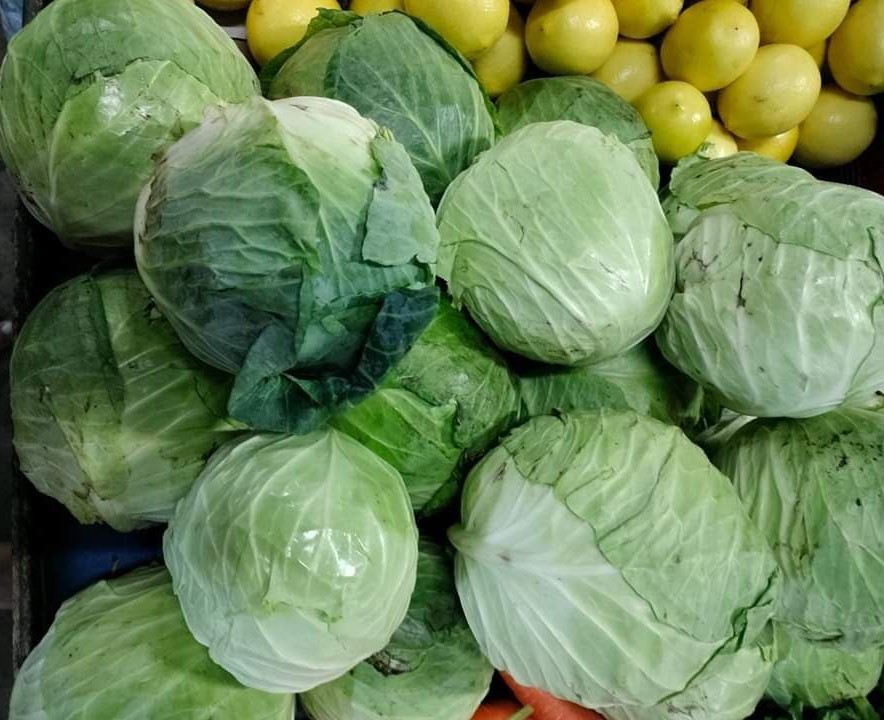 Cabbage
