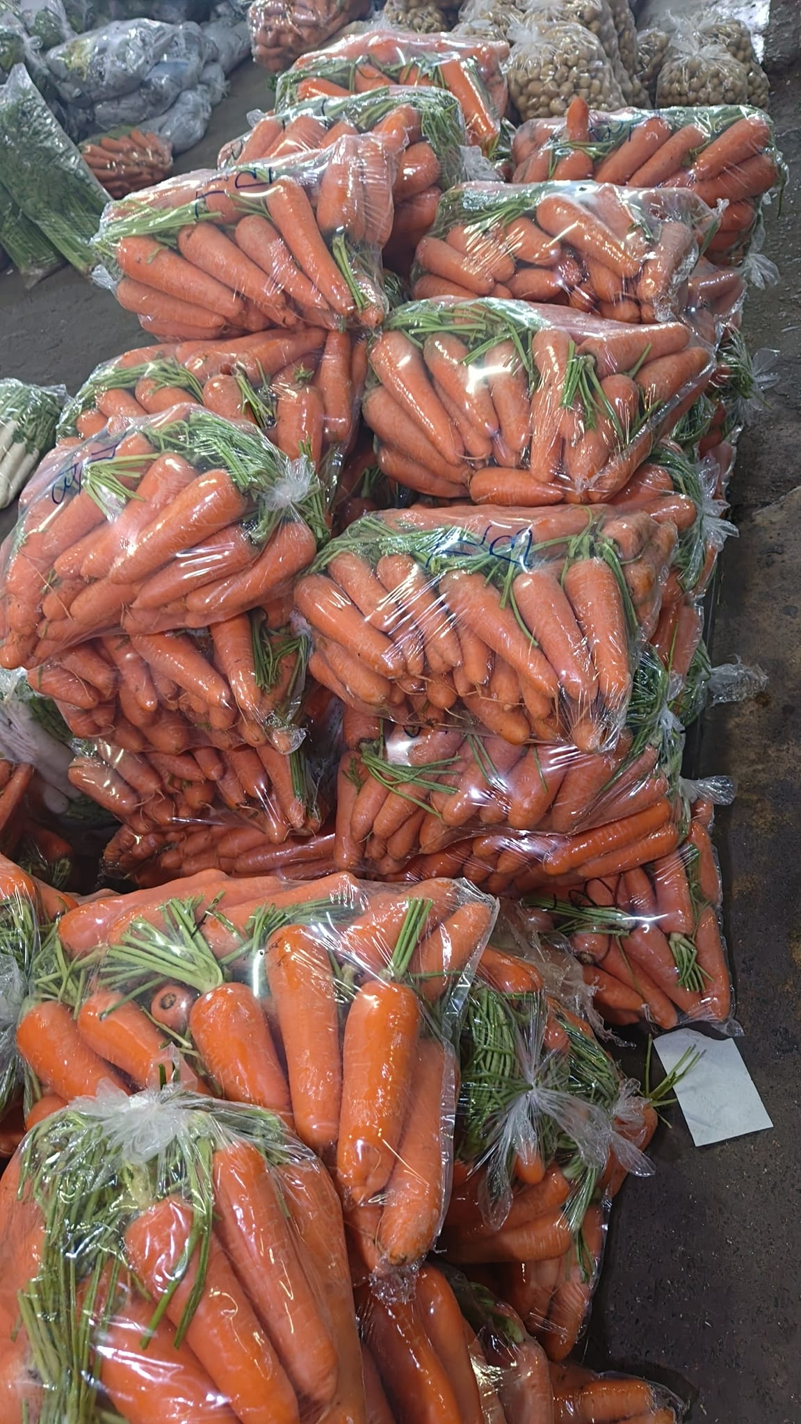 Carrots