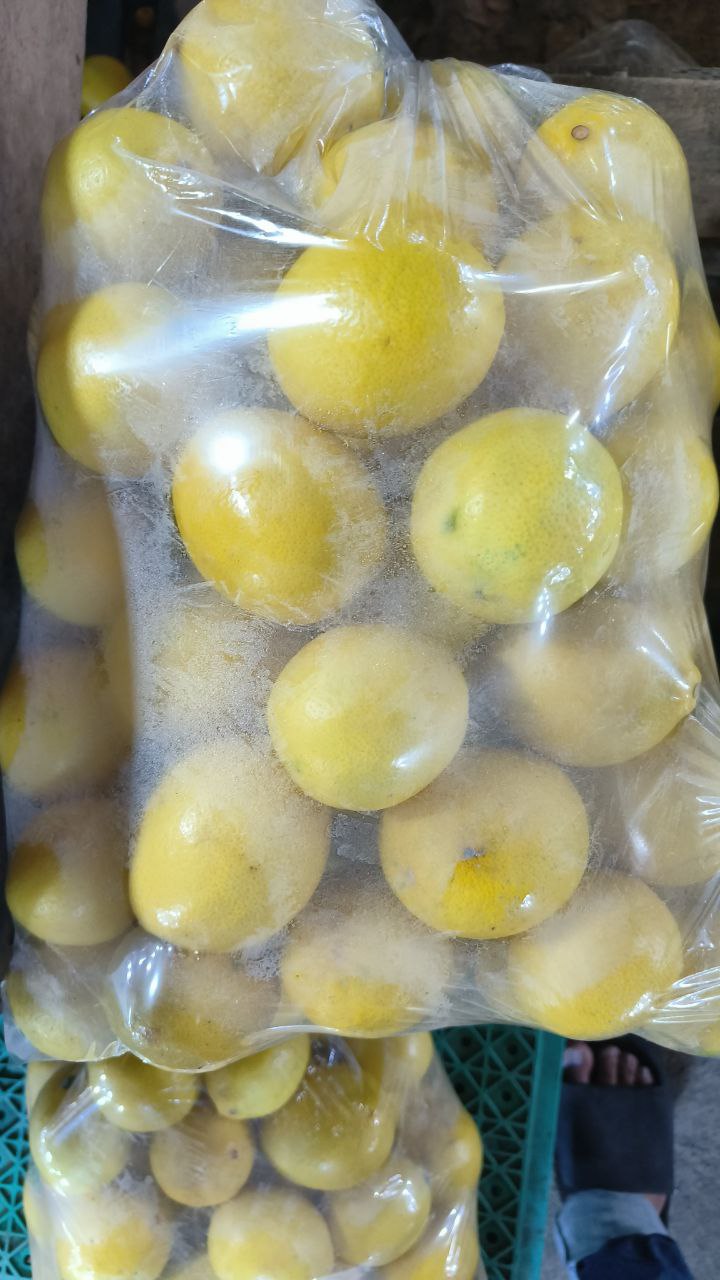 Lemon