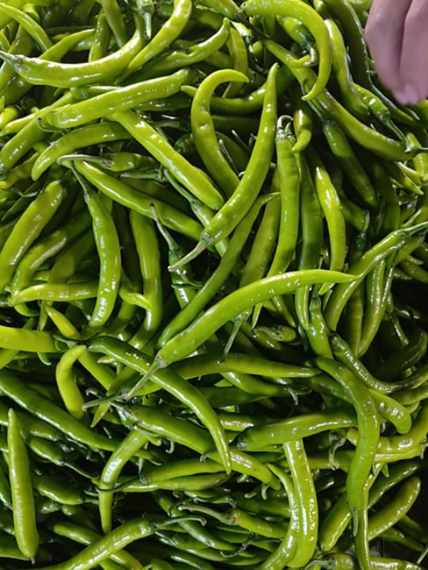 Sili