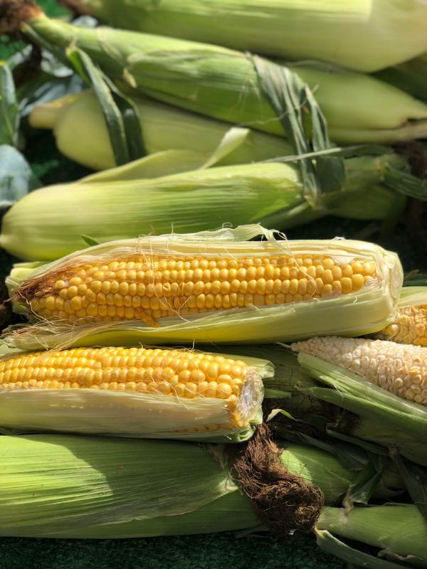 Corn