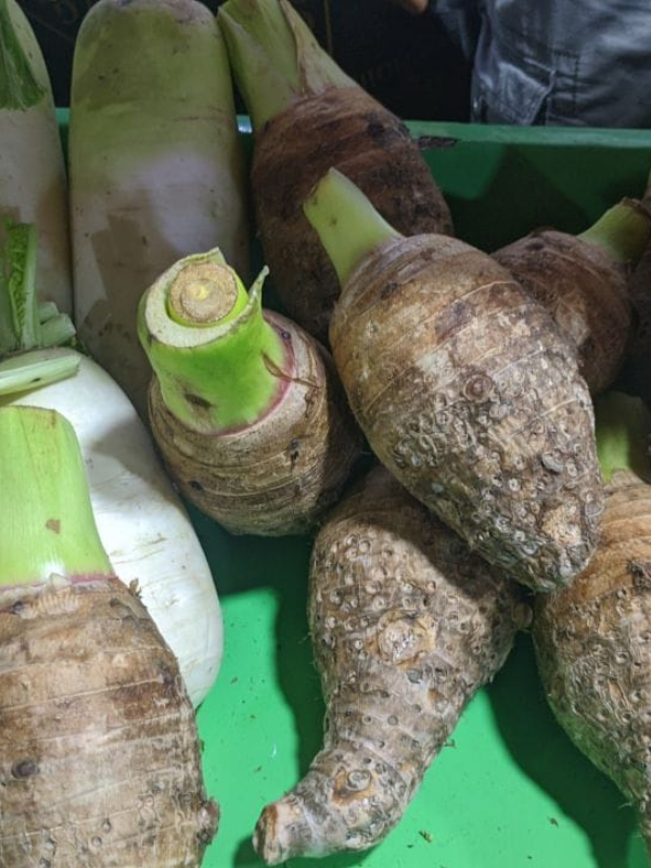 Taro