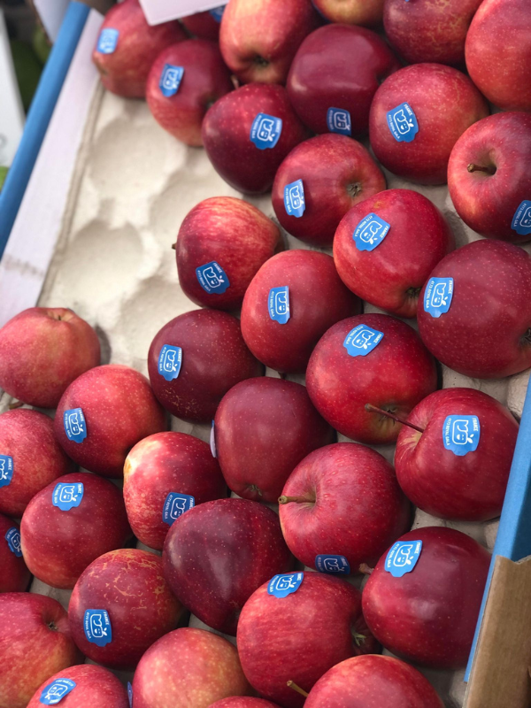 Apple