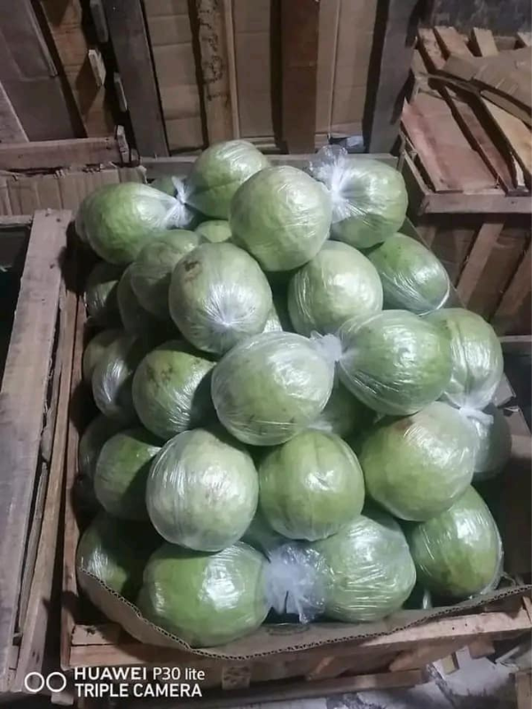 Guapple