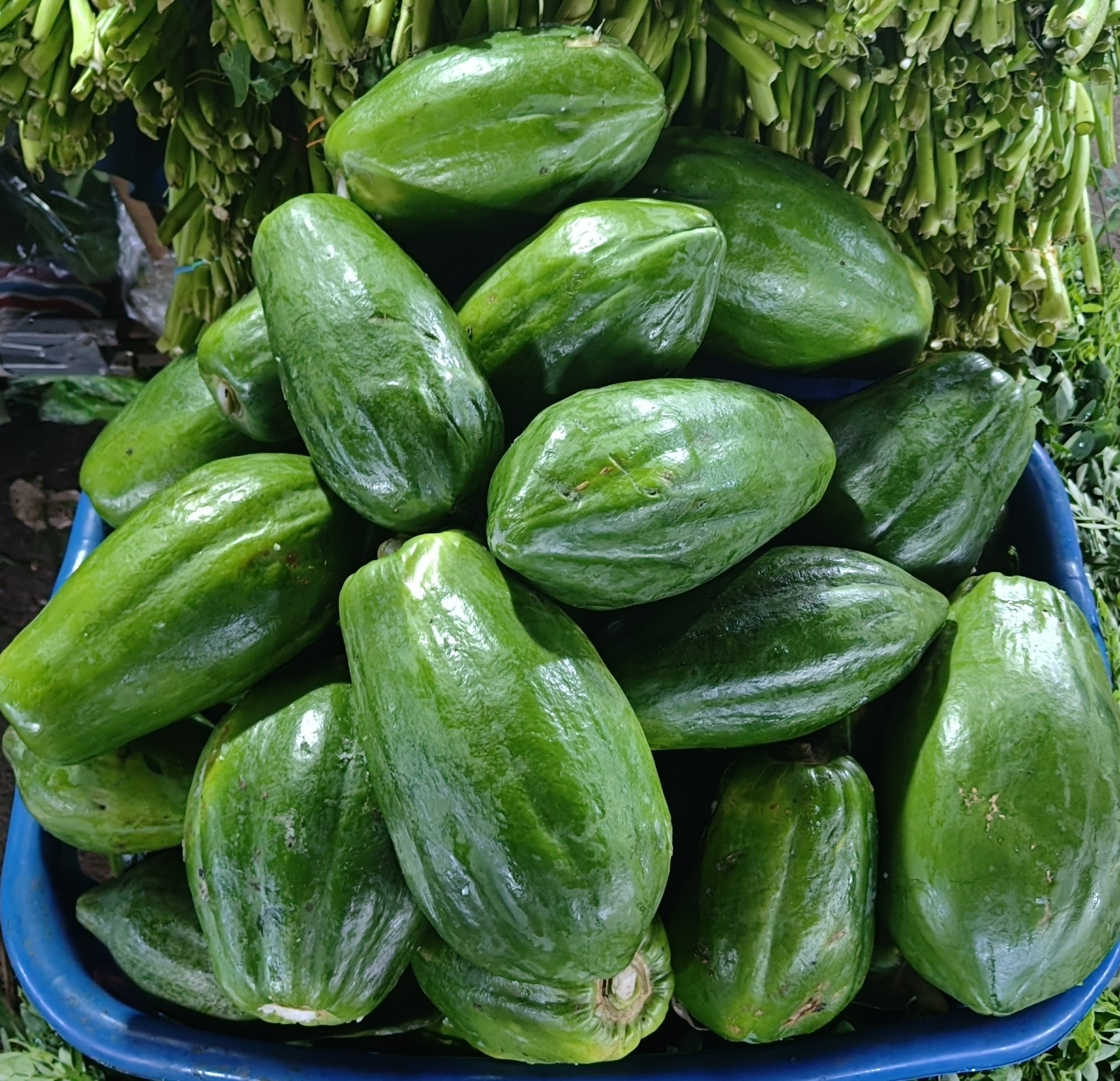 Papaya