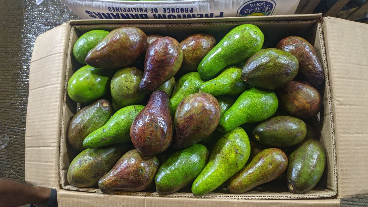 Avocado