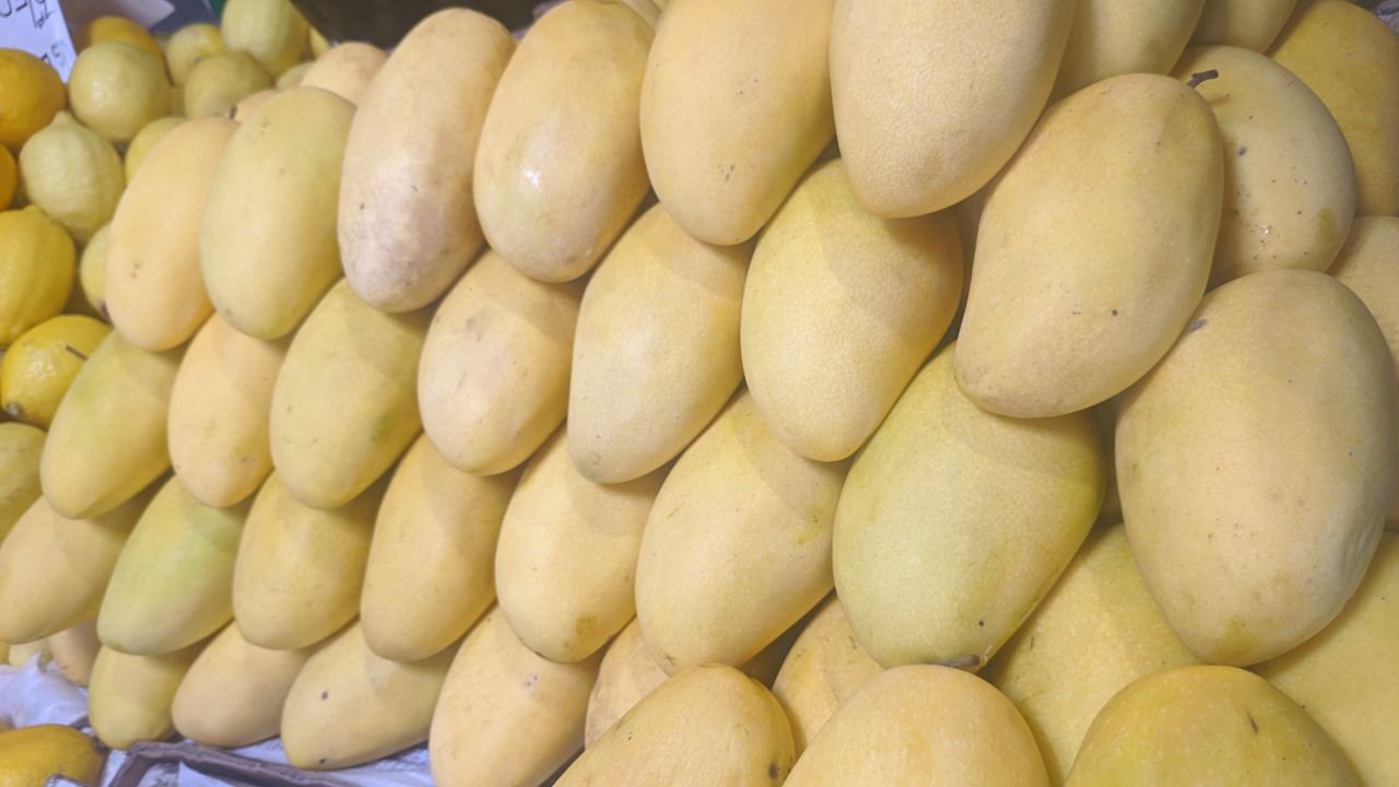 Mango
