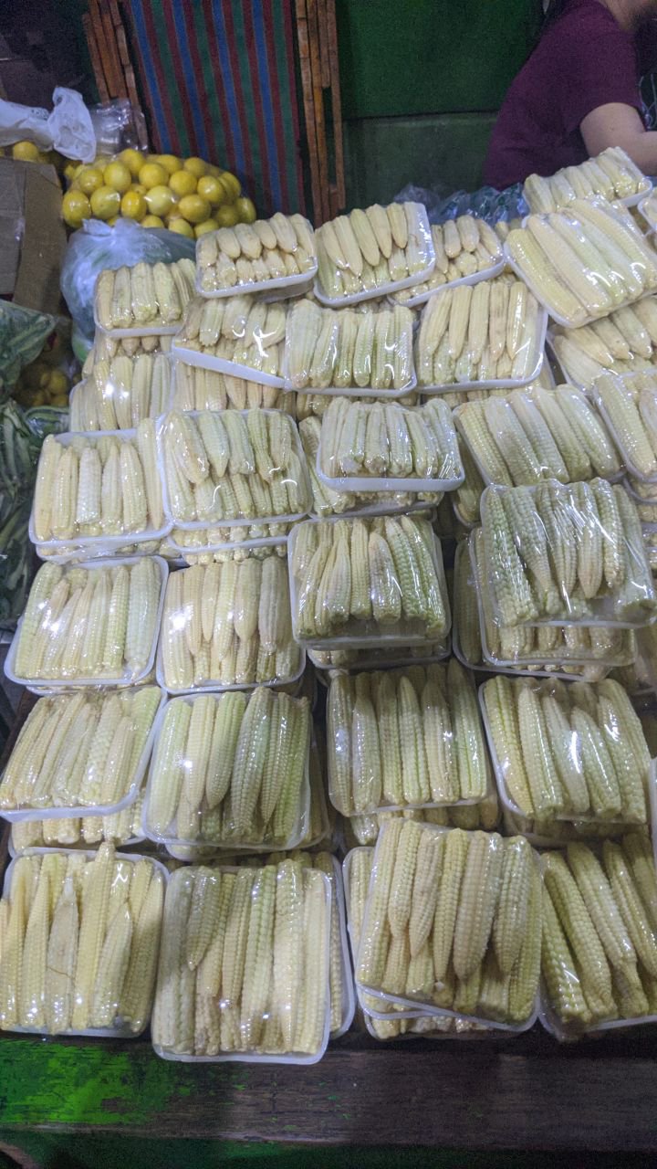 Young Corn