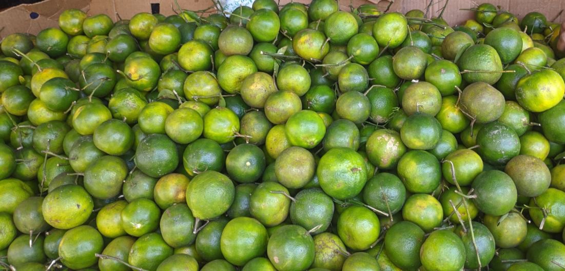 Dalandan